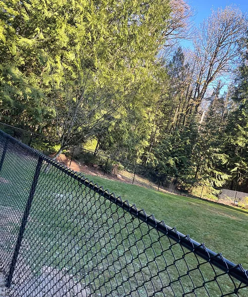 Fence Installation in Lynnwood 